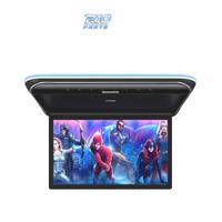 SCHERMO FULL HD PER TETTO DA 19,5"