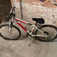 Bicicletta bambino/ragazzo Colorado Elios