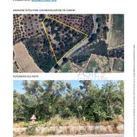 Terreno Agricolo Frisa [A4343411]