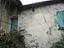 Immagine 7