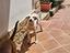 Immagine 4