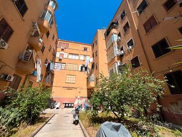 2 VANI: Piazza Alessandro Vanni - Zona Università