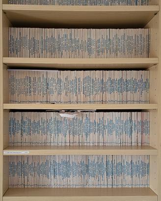 Collezione Tex Willer