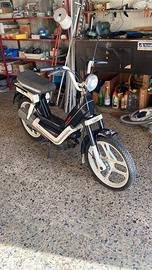 atala idea