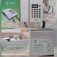Telefono fisso SIP Azalea 2, vintage