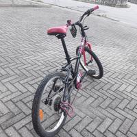 bicicletta bambina 20"