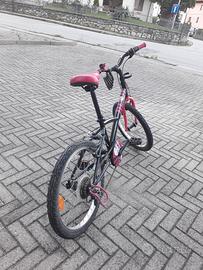 bicicletta bambina 20"