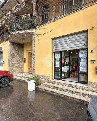 LABORATORIO A VICOPISANO