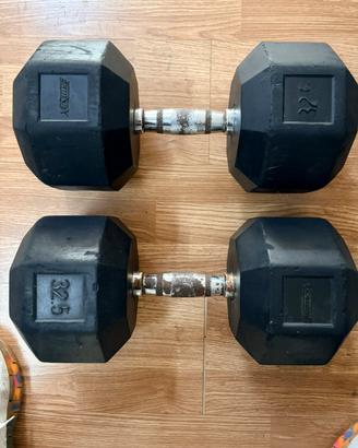 Xenios manubri 32 kg