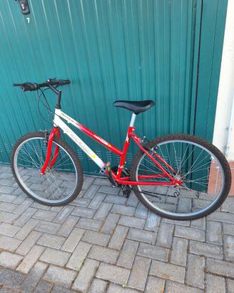 biciclette
