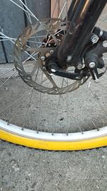 bicicletta 