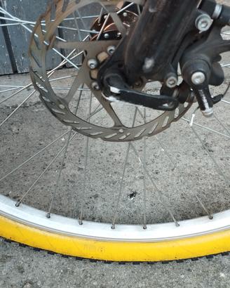 bicicletta 