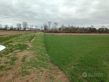 RGE 278/2023 Trib Pavia - LOTTO 6