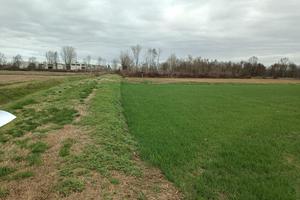 RGE 278/2023 Trib Pavia - LOTTO 6