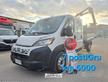 Fiat ducato 7 posti gru 2024