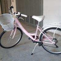 bicicletta bambina 24"