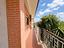 Immagine 7