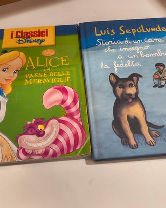 alice nel paese delle meraviglie storia di un 