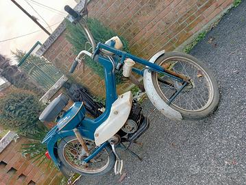 motom daina con documenti 