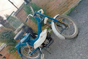 motom daina con documenti 