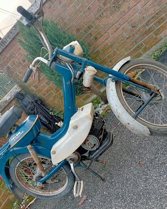 motom daina con documenti 