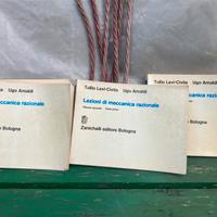 Leci Civita / Amaldi Meccanica  razionale