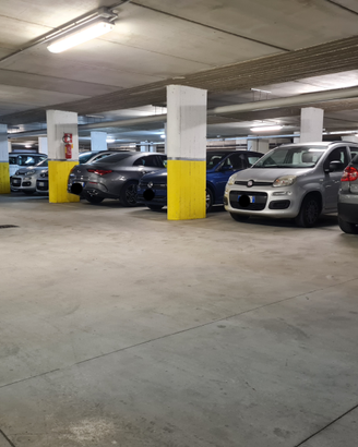 Posti Auto Coperto VideoSorvegliato Accesso 24h