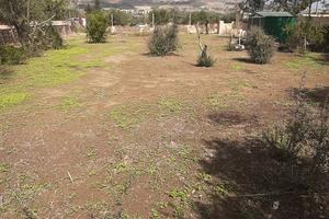 Villa Rosina,bisbini park Trapani 
