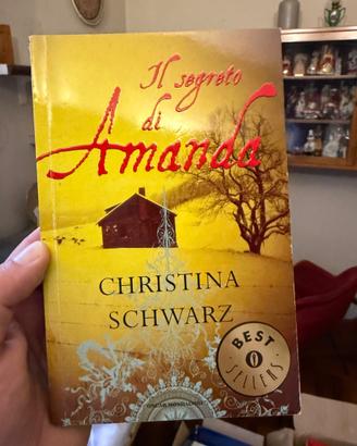 Il segreto di Amanda