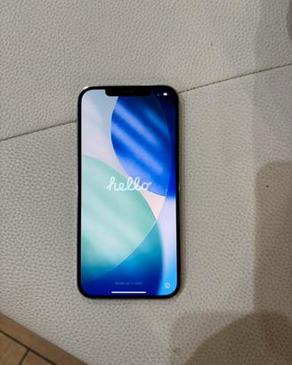 Iphone 12 pro max 256gb