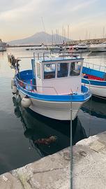 Barca licenza da pesca in Vetroresina