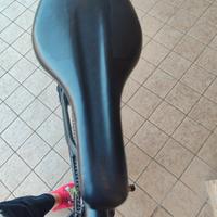 bicicletta anno 2024