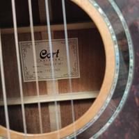 chitarra acustica amplificata
