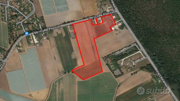 Terreno 5,3 ha con fabbricati - Sabaudia Tr.282