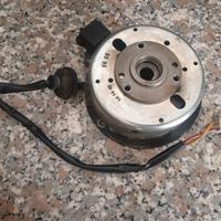 statore 12 poli ducati