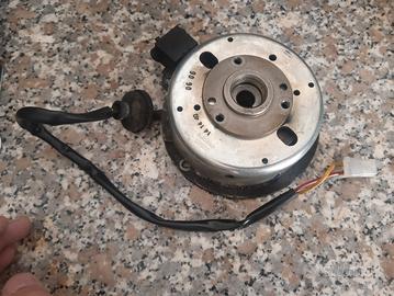 statore 12 poli ducati