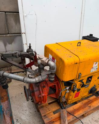 Motore Hatz 3 cilindri diesel con pompa acqua