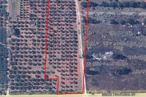 Campobello Di Mazara Terreno Del Tipo Uliveto