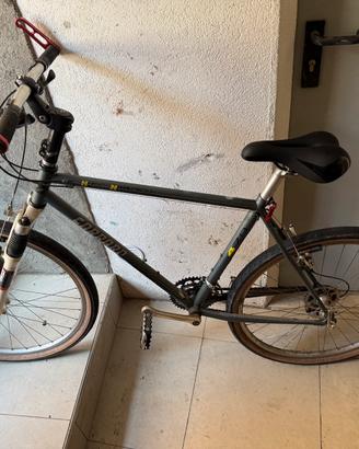Bicicletta
