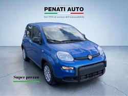 FIAT Panda 1.0 FireFly S&S Hybrid+ Pack City/...