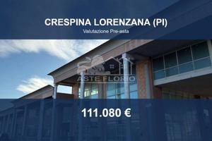 Immobile in asta di 338 m² a Crespina e Lorenzana