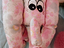 Immagine 5