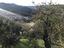 Immagine 13