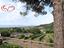 Immagine 14