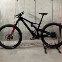 Specialized stumpjumper EVO