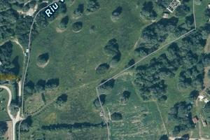 Terreno Agricolo con Rustico e Stazzo