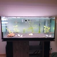 Lampada per acquario 120 cm estensib