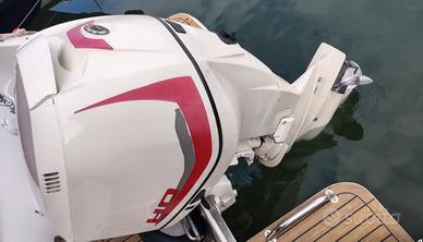 Evinrude 250 ho E - TEC