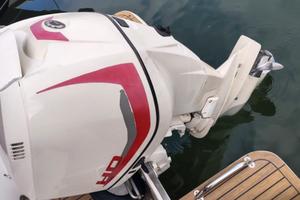 Evinrude 250 ho E - TEC