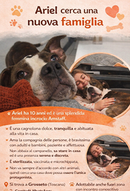 Una nuova famiglia per Ariel la coccolona
